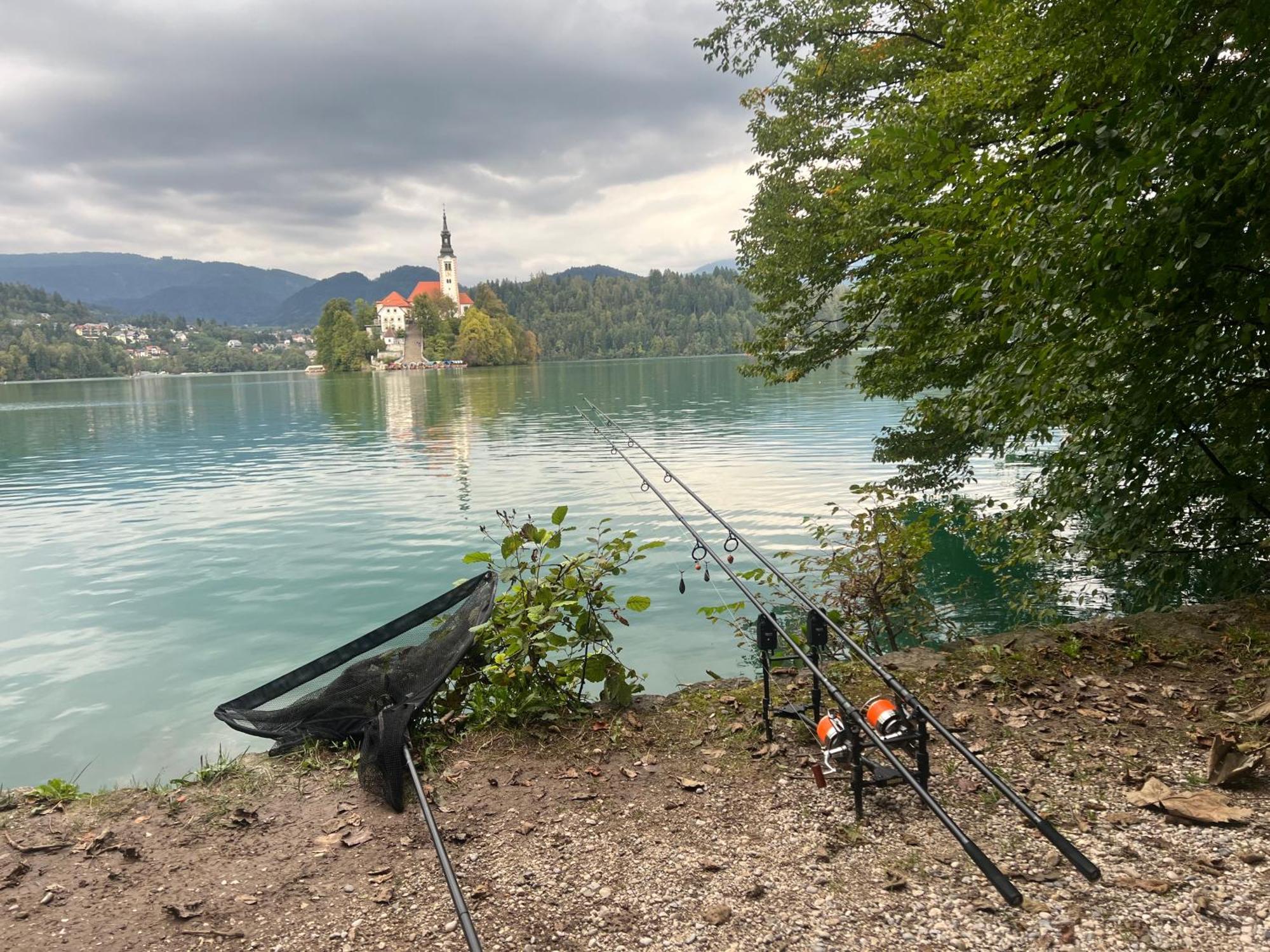 4 Elements Glamping & Apartments Bled Zewnętrze zdjęcie