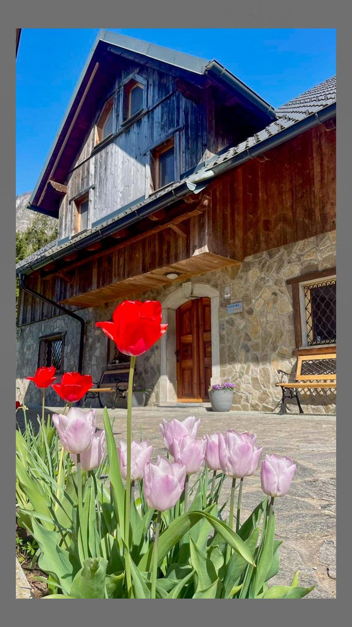 4 Elements Glamping & Apartments Bled Zewnętrze zdjęcie